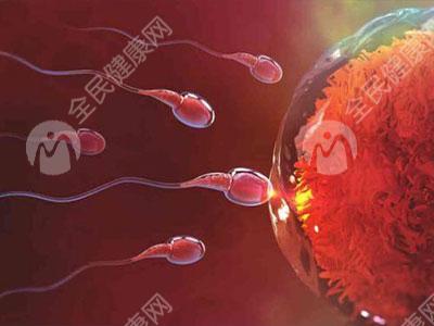 宁德有哪些医院可以做第三代试管婴儿？