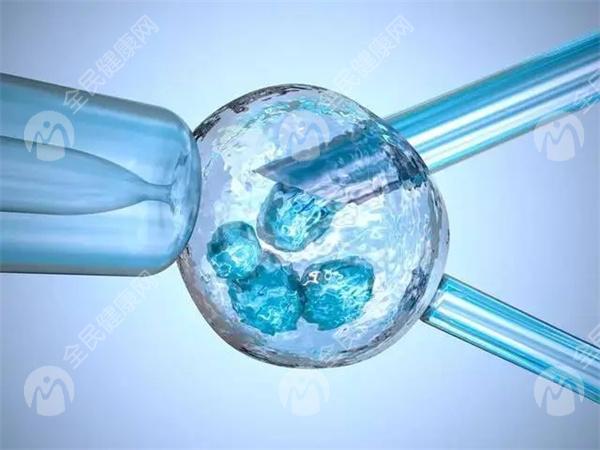 想了解赣州市妇幼保健院试管婴儿成功率吗？这里有答案！