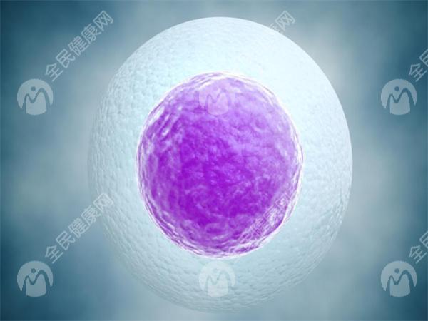 绍兴公立医院三代试管婴儿需要多少钱？本文详细讲解！