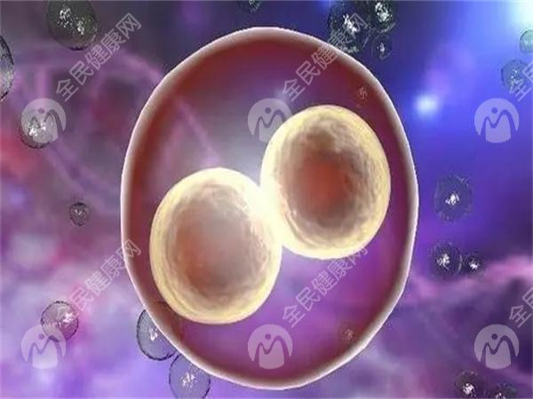 重庆第三代试管婴儿费用详解，哪些医院值得信赖？