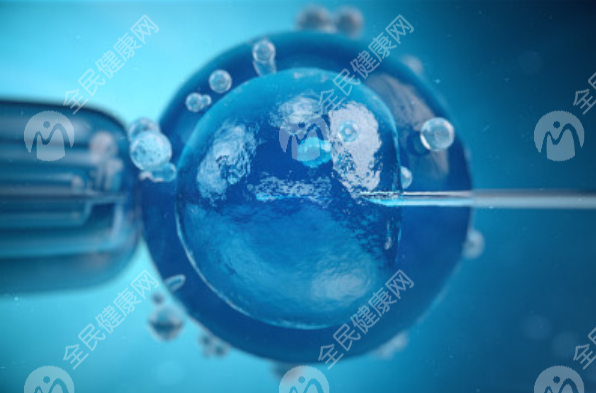 东莞第三人民医院试管婴儿成功率高吗 为什么有的人能轻易成功？