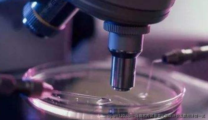 乌鲁木齐试管婴儿医院评价及费用详情一览