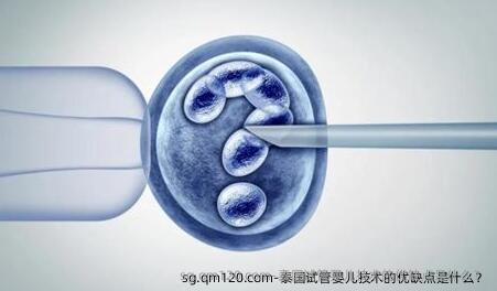 泰国试管婴儿技术的优缺点是什么？