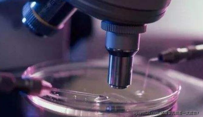 试管婴儿能否初次成功？