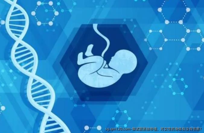 做试管胚胎移植，对女性的身体有没有伤害?
