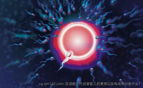 在成都三代试管婴儿的费用以及构成部分是什么?