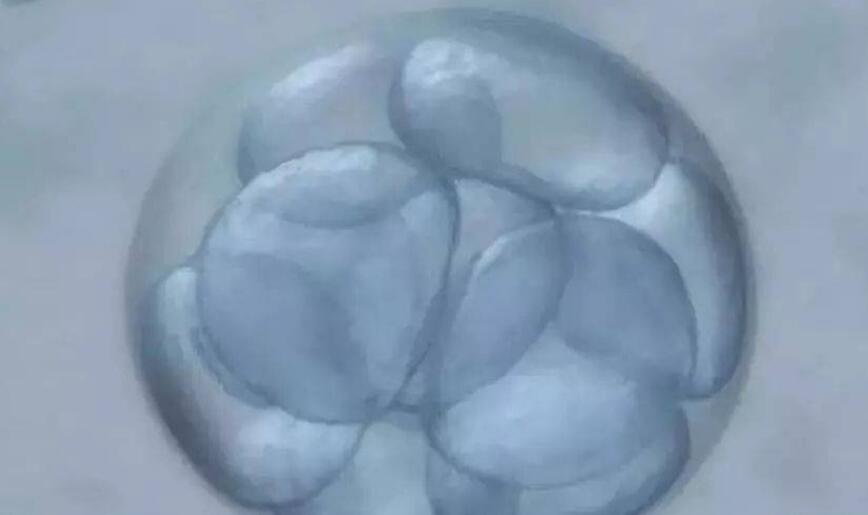 珠海做试管婴儿的较好医院及费用分析
