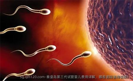 秦皇岛第三代试管婴儿费用详解，哪些医院值得信赖？