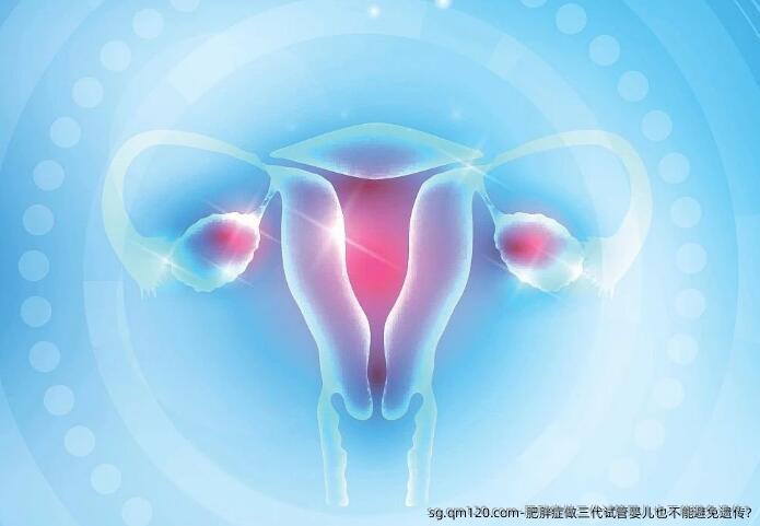肥胖症做三代试管婴儿也不能避免遗传?