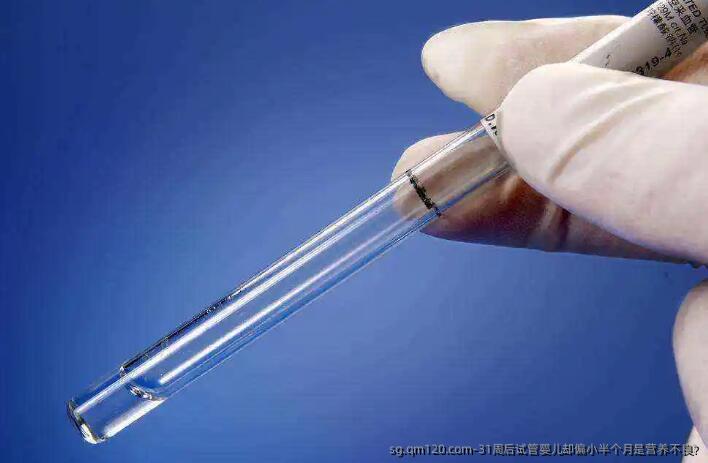 31周后试管婴儿却偏小半个月是营养不良?