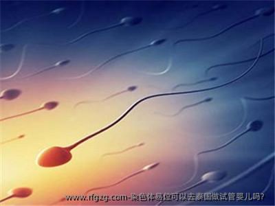 染色体易位可以去泰国做试管婴儿吗？