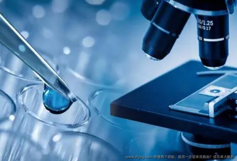 移植两个胚胎，能否一次迎来双胞胎？成功率大解析‌