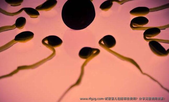 试管婴儿包括哪些费用？分享完整费用预算！