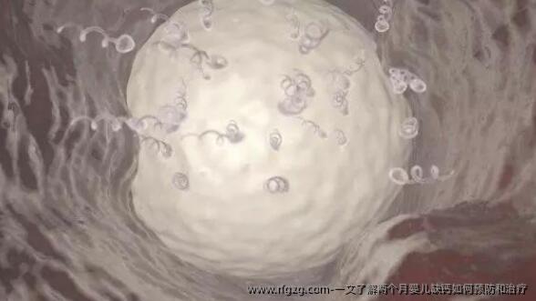 一文了解两个月婴儿缺钙如何预防和治疗