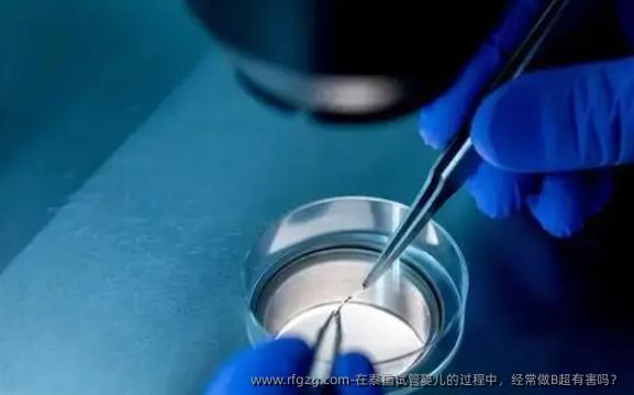 在泰国试管婴儿的过程中，经常做B超有害吗？