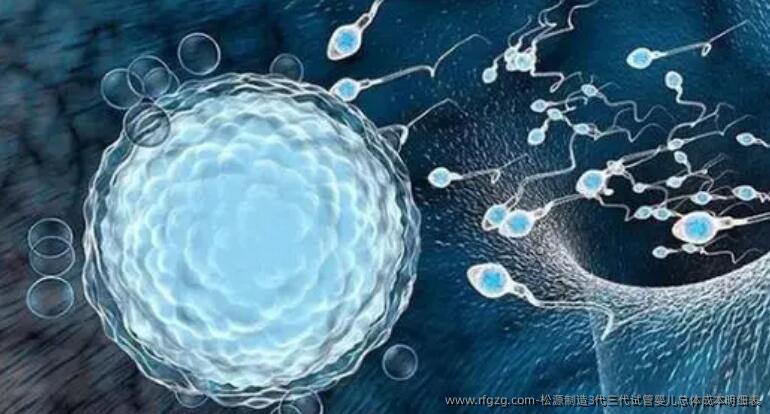 松源制造3代三代试管婴儿总体成本明细表