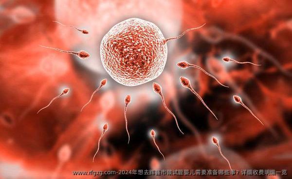 2024年想去辉县市做试管婴儿需要准备哪些事？详细收费明细一览