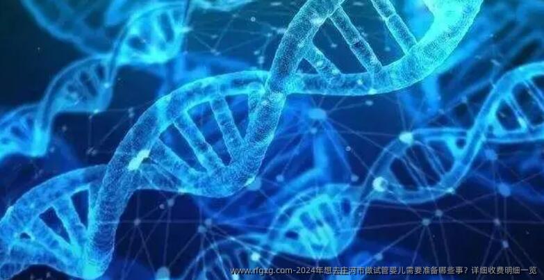 2024年想去庄河市做试管婴儿需要准备哪些事？详细收费明细一览