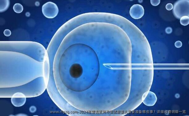 2024年想去莱州市做试管婴儿需要准备哪些事？详细收费明细一览