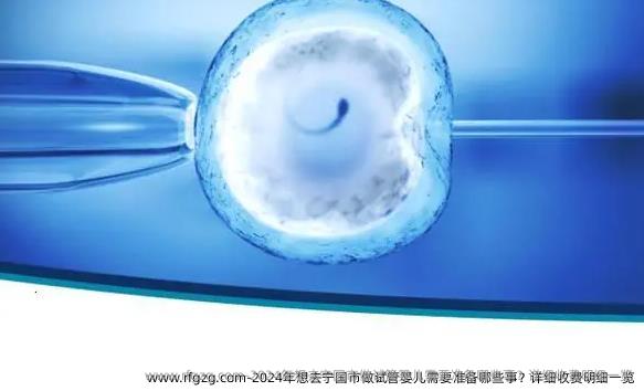 2024年想去宁国市做试管婴儿需要准备哪些事？详细收费明细一览