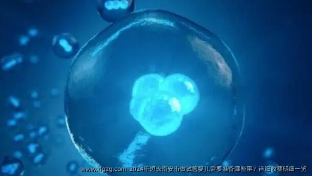 2024年想去南安市做试管婴儿需要准备哪些事？详细收费明细一览