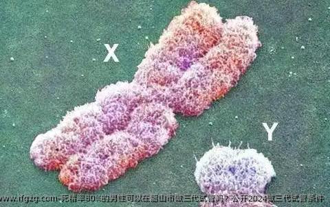 死精率80%的男性可以在韶山市做三代试管吗？公开2024做三代试管条件