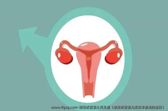 湖南试管婴儿两夫妻（湖南试管婴儿成功率最高的医院）