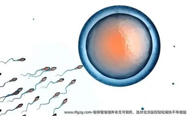 输卵管堵塞并非无可救药，选对北京医院轻松解决不孕难题