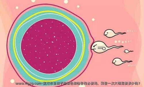 漠河市生孩子做染色体检查有必要吗，筛查一次大概需要多少钱？