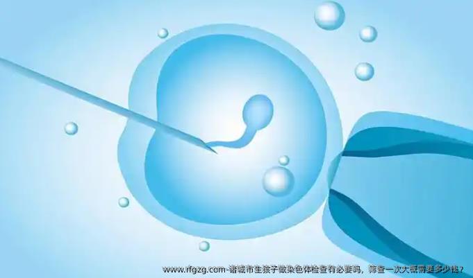 诸城市生孩子做染色体检查有必要吗，筛查一次大概需要多少钱？