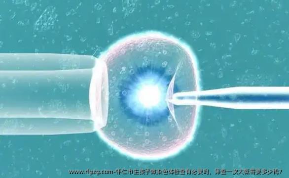 怀仁市生孩子做染色体检查有必要吗，筛查一次大概需要多少钱？