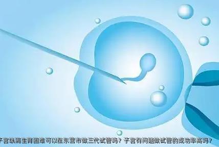 子宫纵隔生育困难可以在东营市做三代试管吗？子宫有问题做试管的成功率高吗？