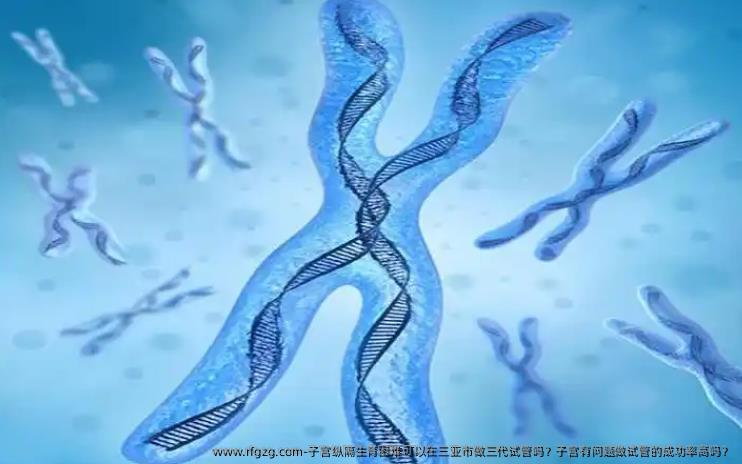 子宫纵隔生育困难可以在三亚市做三代试管吗？子宫有问题做试管的成功率高吗？