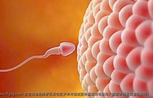 女性有染色体罗氏易位在泸州市做试管养囊成功率高吗？试管移植后需要保胎吗！