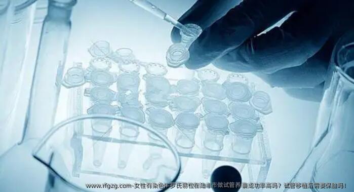 女性有染色体罗氏易位在陆丰市做试管养囊成功率高吗？试管移植后需要保胎吗！