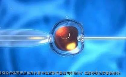 女性有染色体罗氏易位在长葛市做试管养囊成功率高吗？试管移植后需要保胎吗！