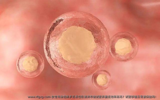 女性有染色体罗氏易位在湖州市做试管养囊成功率高吗？试管移植后需要保胎吗！
