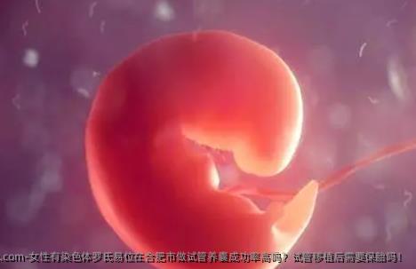 女性有染色体罗氏易位在合肥市做试管养囊成功率高吗？试管移植后需要保胎吗！
