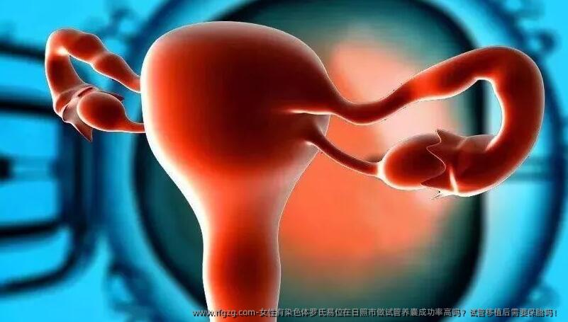 女性有染色体罗氏易位在日照市做试管养囊成功率高吗？试管移植后需要保胎吗！