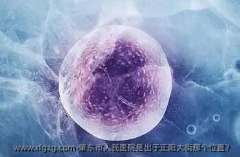 肇东市人民医院是出于正阳大街那个位置？