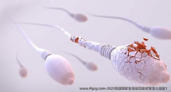 2025我国哪家生殖医院做试管婴儿能做？