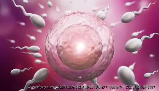 2025在临沂市做基因检测多少钱？基因筛查可以规避哪些遗传病？