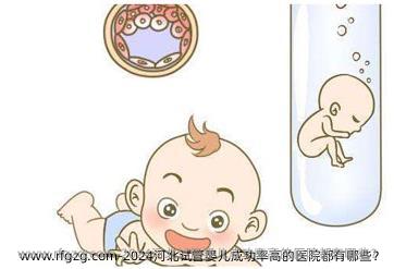 2024河北试管婴儿成功率高的医院都有哪些？