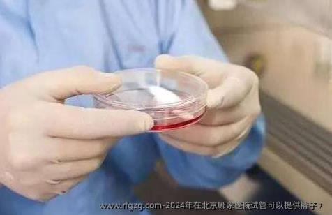 2024年在北京哪家医院试管可以提特需子？