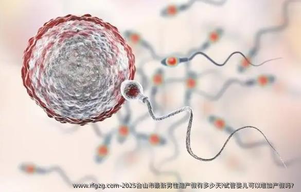 2025台山市最新男性陪产假有多少天?试管婴儿可以增加产假吗？