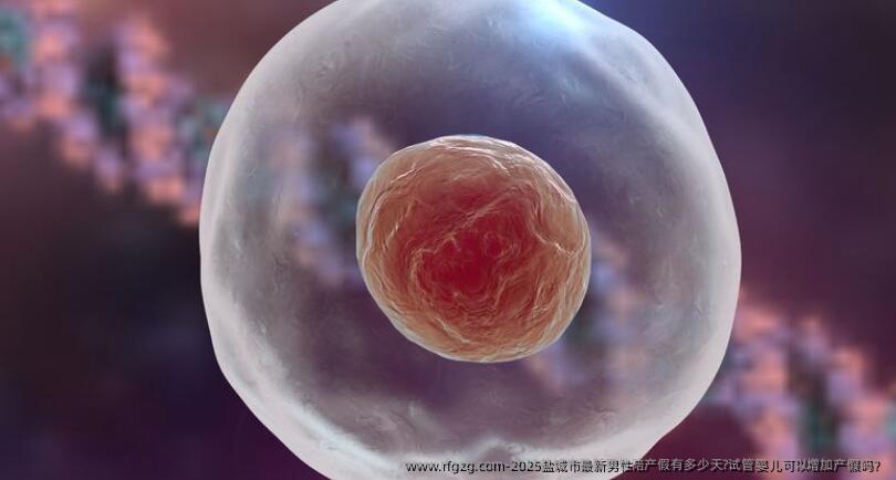2025盐城市最新男性陪产假有多少天?试管婴儿可以增加产假吗？