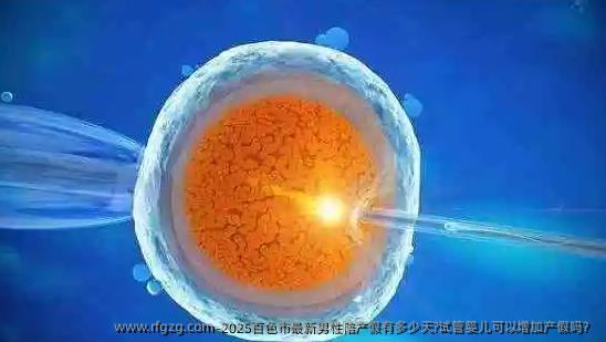 2025百色市最新男性陪产假有多少天?试管婴儿可以增加产假吗？