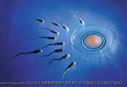2025洪江市最新男性陪产假有多少天?试管婴儿可以增加产假吗？
