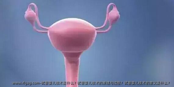 试管婴儿技术是什么？试管婴儿技术的原理与过程？试管婴儿技术的意义是什么？