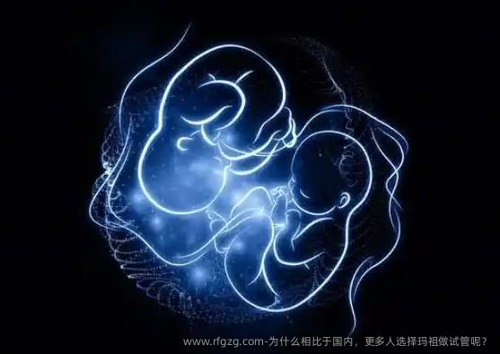 为什么相比于国内，更多人选择玛祖做试管呢？